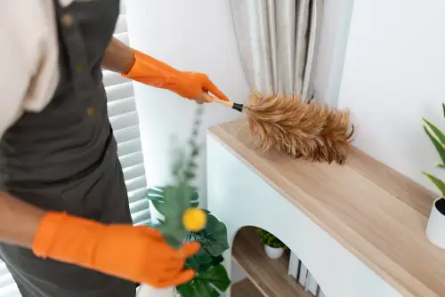 spotless one-time house cleaning in whitehouse tx